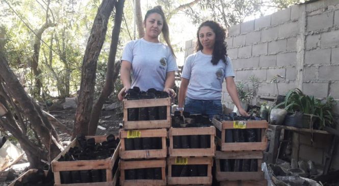 Villa Allende: Cooperativa de mujeres consiguió predio para producir árboles nativos