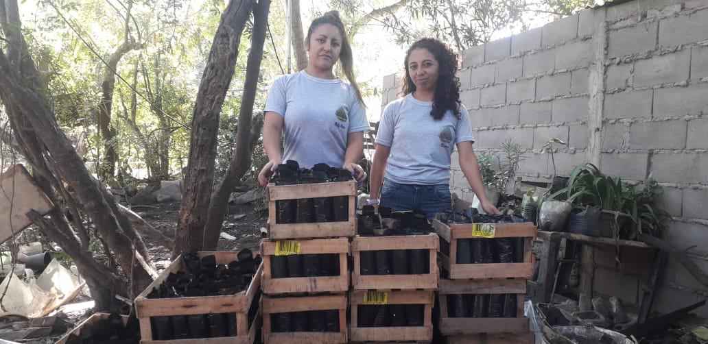 Villa Allende: Cooperativa de mujeres consiguió predio para producir árboles nativos