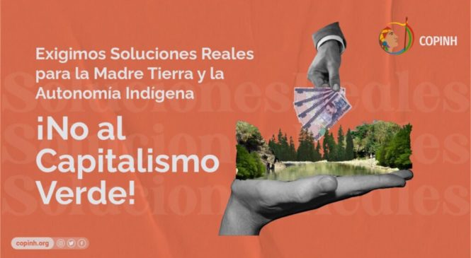 Honduras. COPINH: ¡No al Capitalismo Verde!