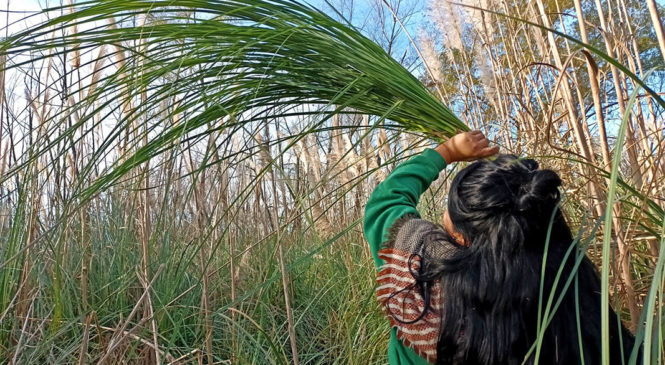 Superando las bajas temperaturas con la pasión de la lucha colectiva