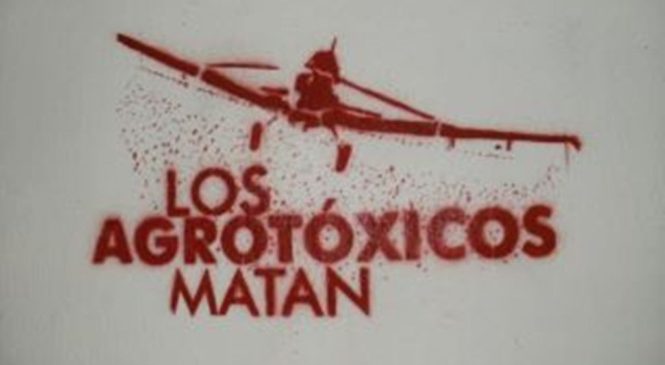 Fumigación ilegal con agrotóxicos en Luján: Última crónica de un envenenamiento sostenido