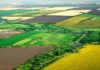 Ucrania: El saqueo de las tierras cultivables 