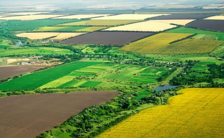 Ucrania: El saqueo de las tierras cultivables 