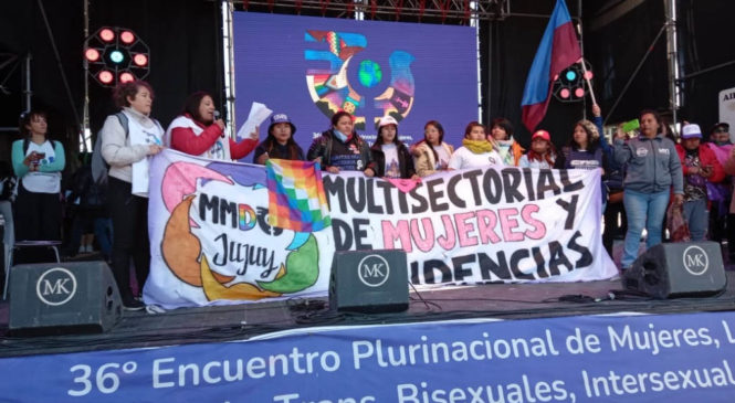Cerró en Bariloche el Encuentro Plurinacional de Mujeres y Disidencias y Jujuy fue aclamada como la próxima sede