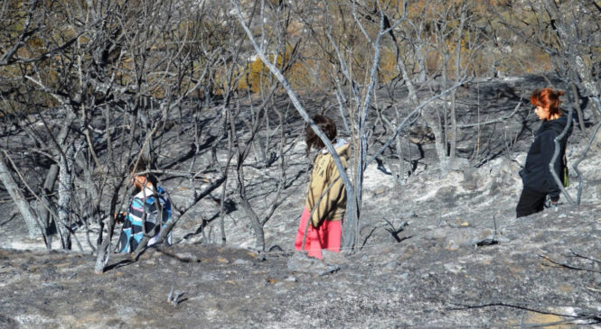 Incendios en Punilla: más víctimas del neronismo cordobés