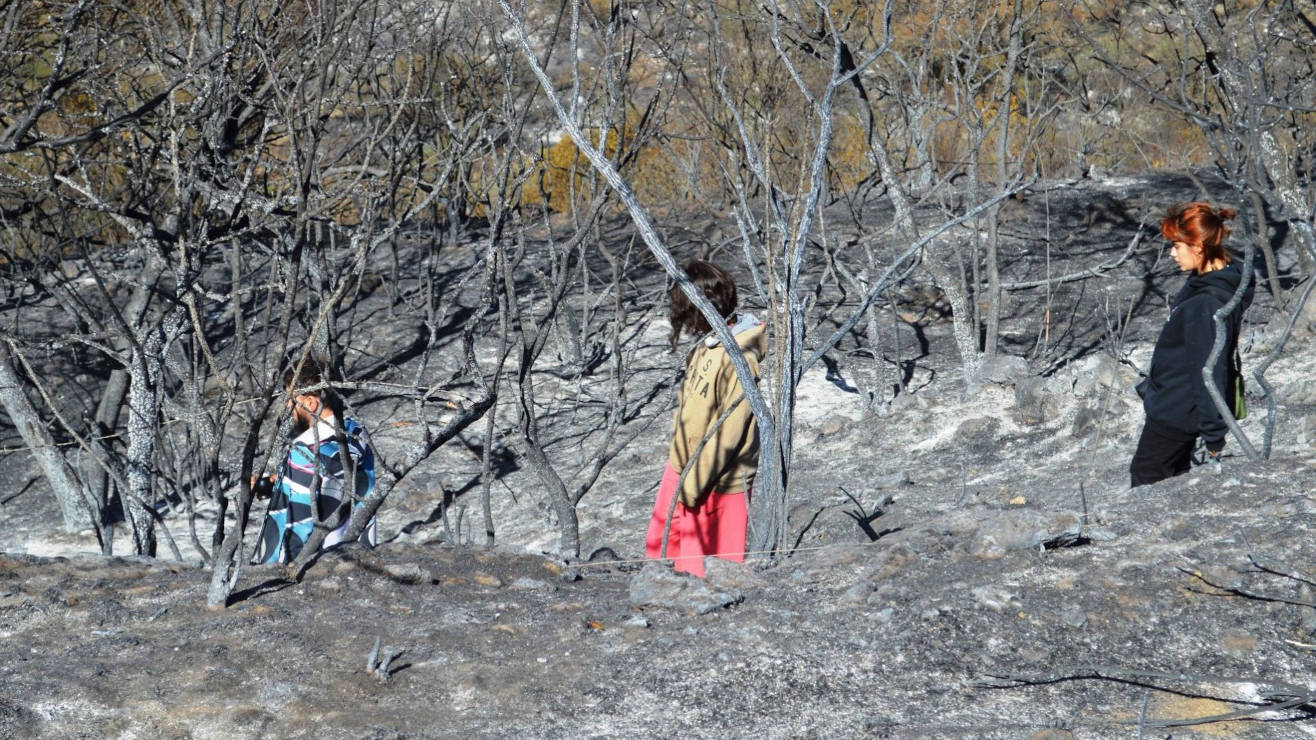 Incendios en Punilla: más víctimas del neronismo cordobés