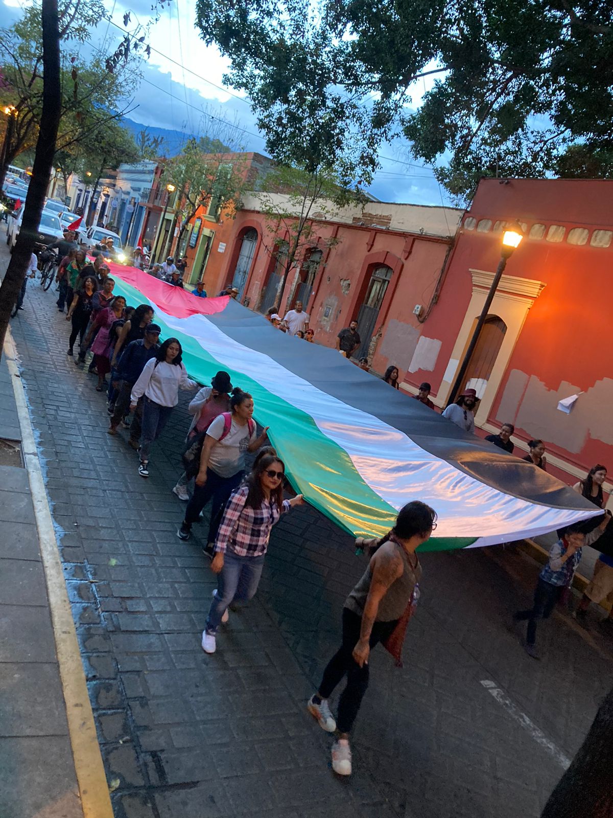 México: Marchas en el Día Internacional de Solidaridad con el Pueblo Palestino