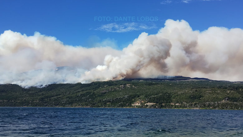 Más de mil hectáreas destruidas por el incendio intencional en el Parque Nacional Los Alerces