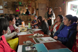 Chile:  Tejiendo redes entre mujeres originarias del mar