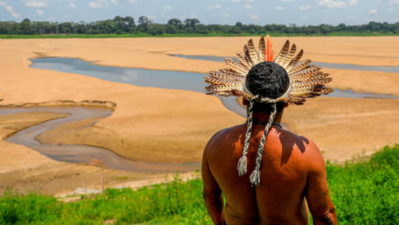 Amazonia: imposición de territorios globalizados y coyuntura política