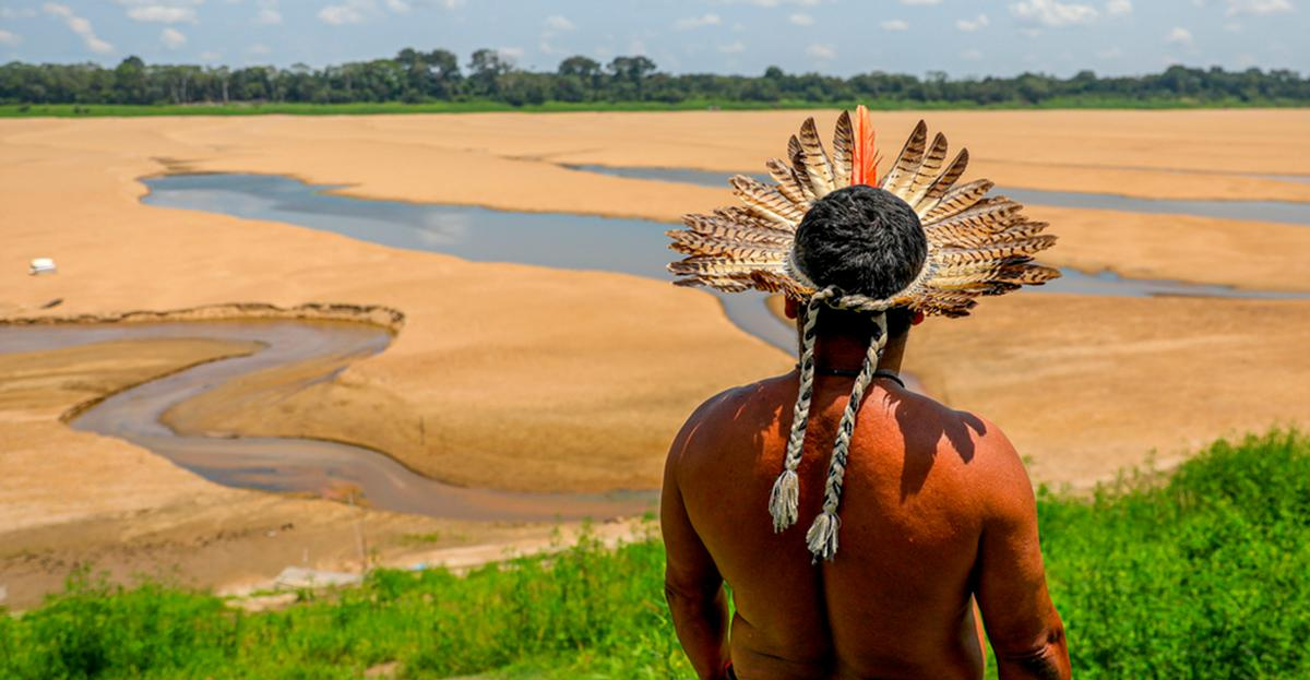 Amazonia: imposición de territorios globalizados y coyuntura política