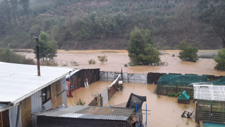 Chile, Arauco_Curanilahue: Tomas y Campamentos en Rebeldía resisten inundaciones, empresas forestales y malos gobiernos