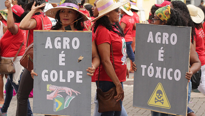 Brasil: Capitalismo verde, agroindustria y crisis ambiental