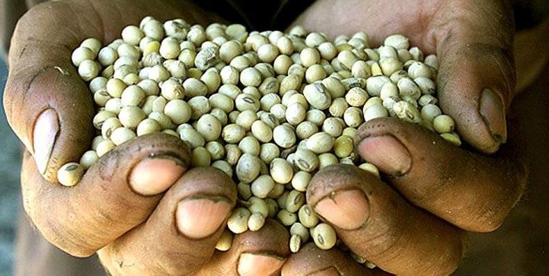 Encuentros de intercambios de semillas en defensa de soberanía alimentaria