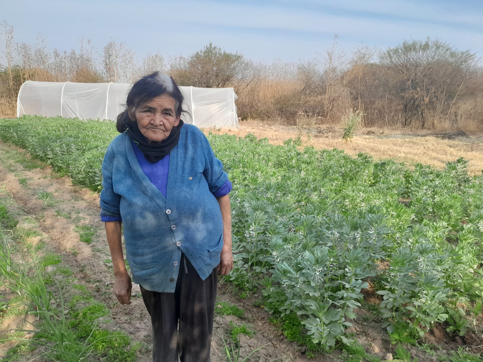 Tusca Pacha: una comunidad indígena que está siendo desalojada por una ...