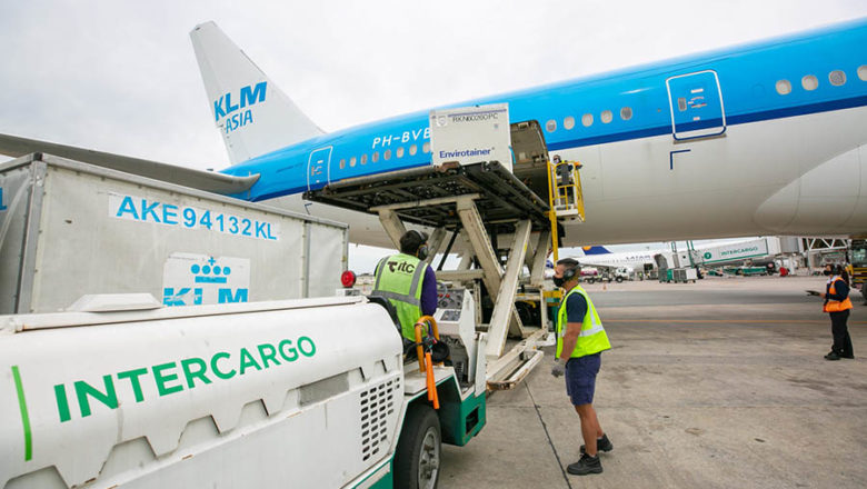 Aerolíneas Argentinas e Intercargo se dividieron los gremios para denunciarlos ante la Secretaría de Trabajo por realizar asambleas