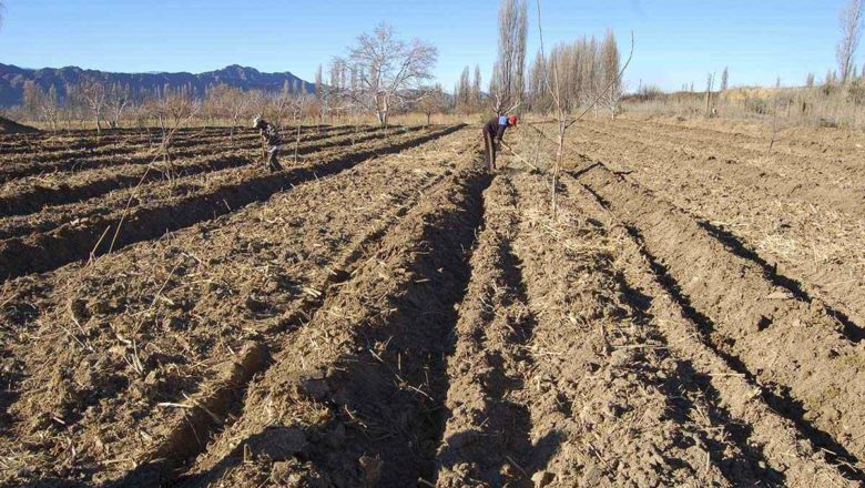 Efecto Milei: la agricultura familiar y su pesadilla