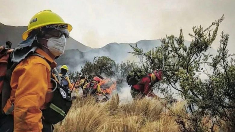 Incendios en Córdoba: una historia repetida y un Gobierno responsable