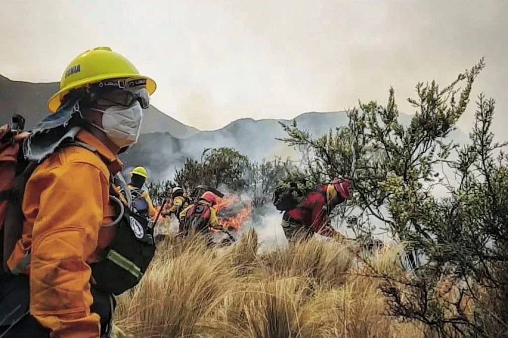 Incendios en Córdoba: una historia repetida y un Gobierno responsable