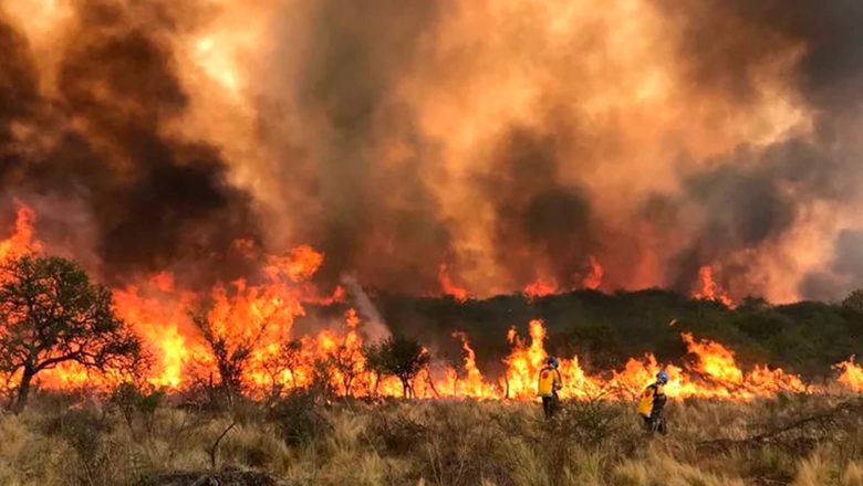 Córdoba: Incendios devastadores