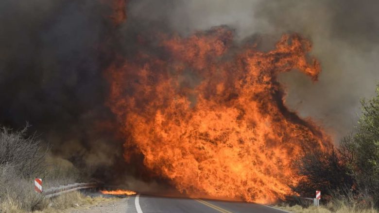 Córdoba: cómo quemar 34.000 hectáreas en 5 días