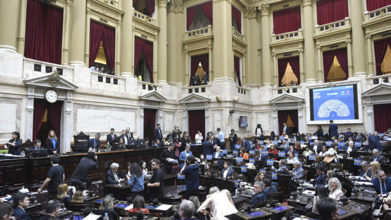 Los 27 diputados egresados de universidades públicas que apoyaron el veto