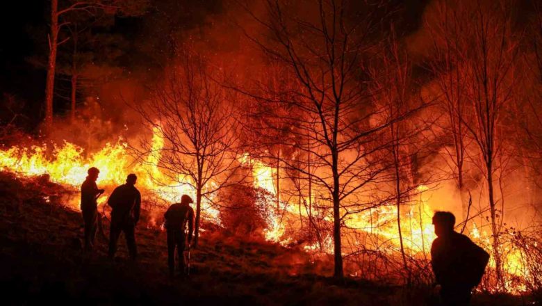 Qué hay detrás de los incendios en Córdoba