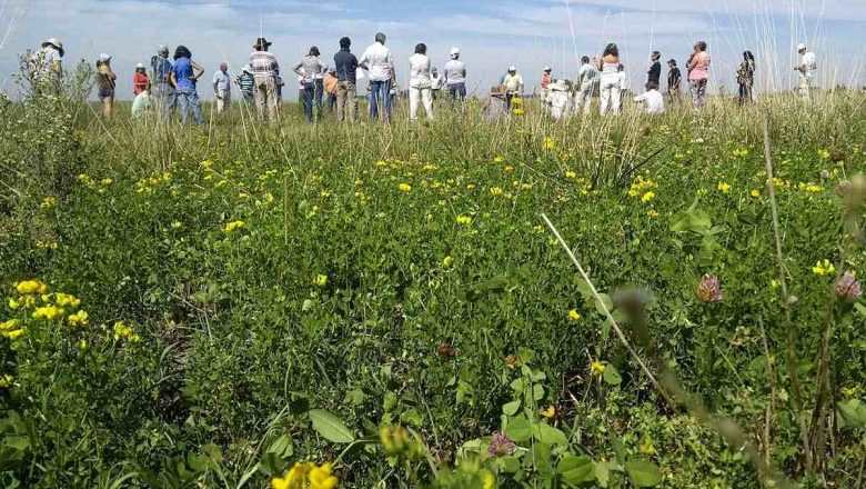 Mes de la Agroecología: diez años celebrando otro modelo productivo