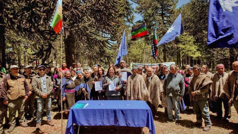 Mientras en Argentina se pierden derechos indígenas, en Chile se otorga co-gobernanza Mapuche en un parque nacional