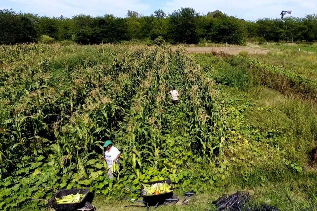 Presentaron informe que detalla las más de 100 políticas alimentarias que desmanteló Milei