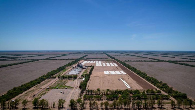 Un año de motosierra para los bosques nativos