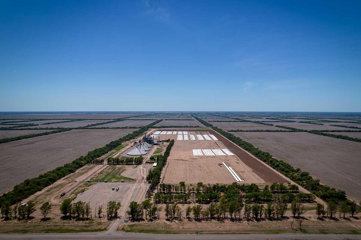 Un año de motosierra para los bosques nativos