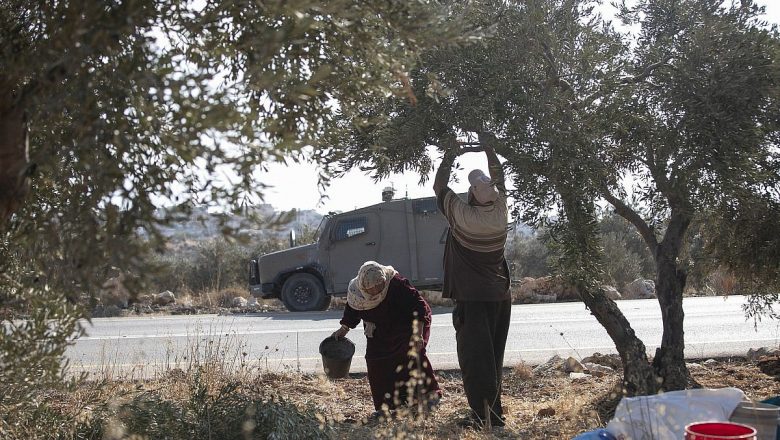 Palestina: “Perdí a mi esposa y mi tierra”