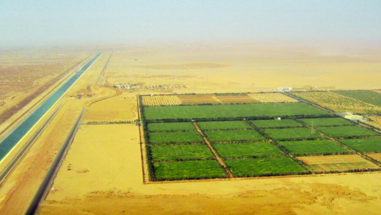 África: Agronegocios a gran escala en los desiertos