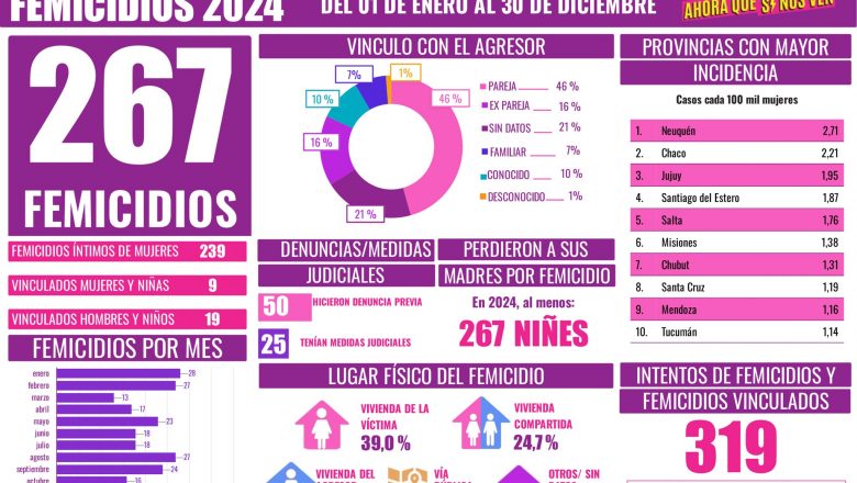 La tasa de femicidios no descendió en 2024