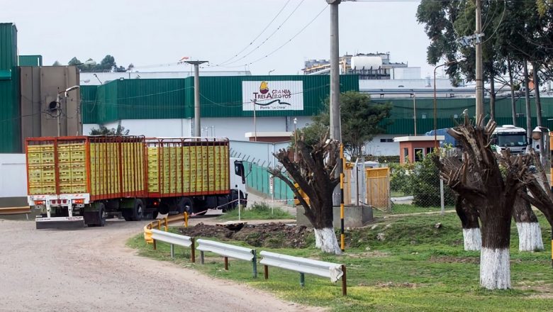 Entre Ríos: Granja Tres Arroyos despidió a 70 trabajadores y amenaza con 400 cesantías más