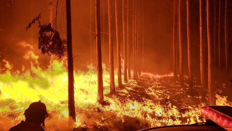 “Los intereses económicos están detrás de los incendios”