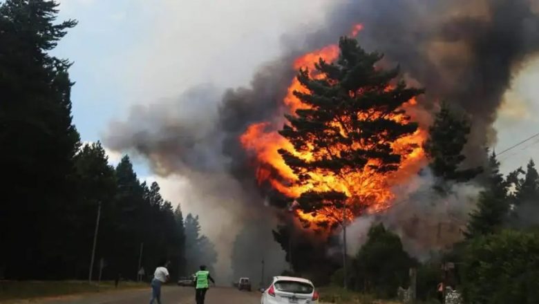 Realidad Mapuche: Incendios, allanamientos y todo tipo de injusticias