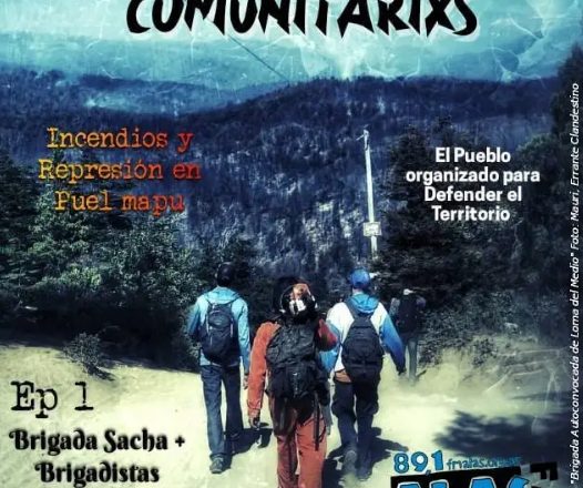 Puelmapu: Autoconvocados comunitarios contra incendios y represión (Audio)