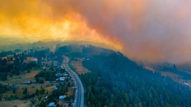 Incendios en Río Negro: una muerte confirmada, casas quemadas y más de 2.000 hectáreas arrasadas por el fuego