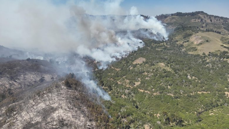 Comunidades mapuche reclaman ayuda para enfrentar los incendios en Junín de los Andes