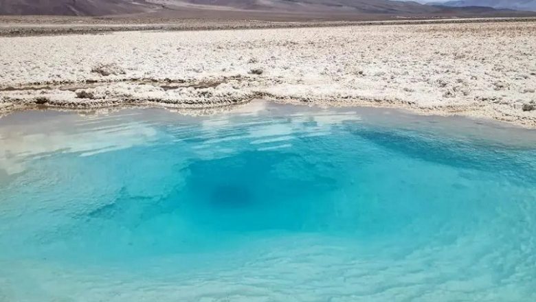 Salares en peligro: comunidades y científicos alertan sobre el impacto de la minería en el norte de Chile