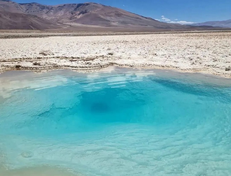 Salares en peligro: comunidades y científicos alertan sobre el impacto de la minería en el norte de Chile