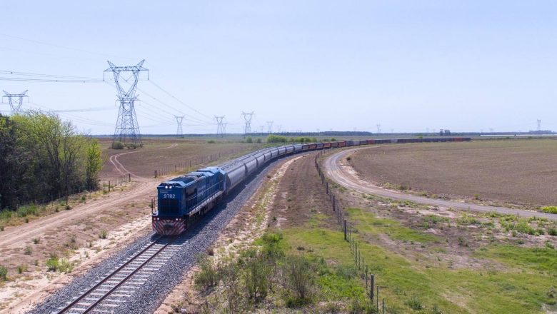 Privatización de Trenes Argentinos Cargas: venderán hasta el material rodante