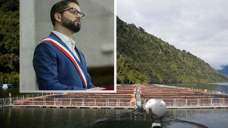 ¿Verde tipo salmón? A 3 años, Gobierno de Boric es evaluado por conflicto salmonero en la Patagonia de Chile