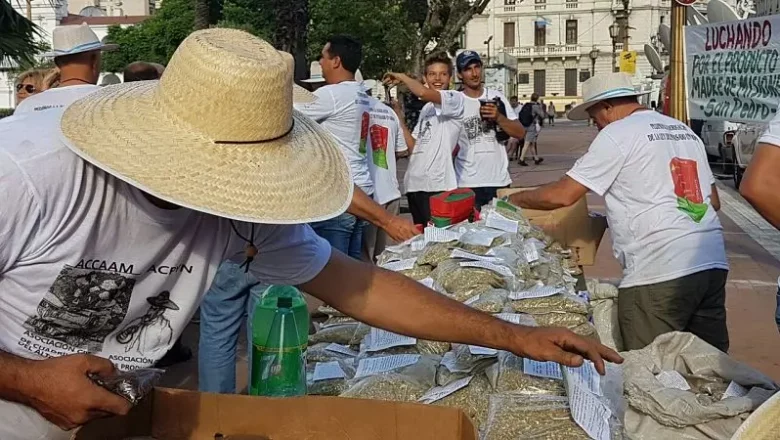 Yerbatazo: el paquete de kilo estará $1.000 durante el fin de semana de carnaval