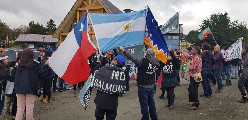 “¡No a las salmoneras británicas!”: Resistencia para evitar que Islas Malvinas repita el ecocidio chileno