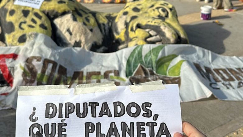 Chaco: denuncian a diputados provinciales “cómplices de la mafia del desmonte”