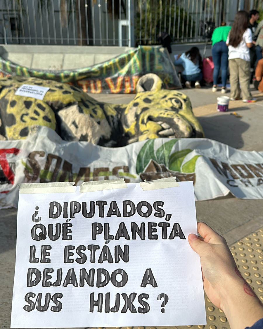 Chaco: denuncian a diputados provinciales “cómplices de la mafia del desmonte”