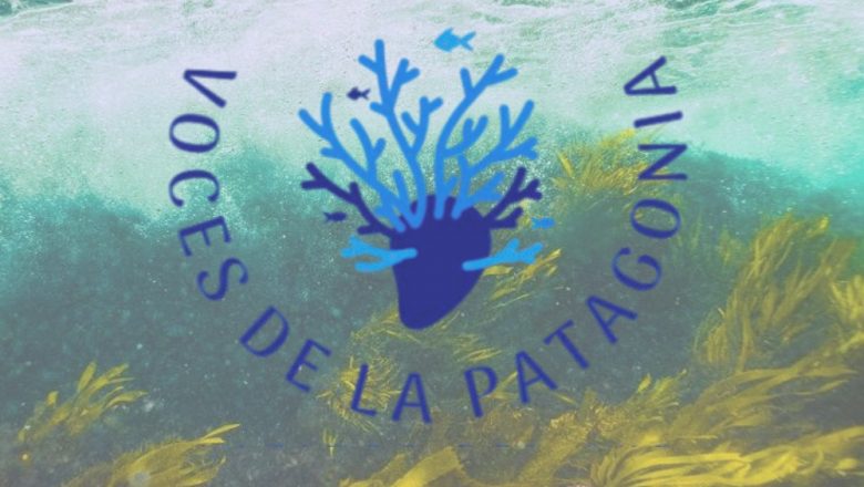 Voces de la Patagonia desentraña secretos del fondo marino: ¿Qué es la pesquería bentónica?